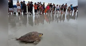 A cena emocionou os presentes e marcou o encerramento de uma jornada iniciada em fevereiro