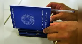 O estado de São Paulo foi o destaque com maior com 34.981 postos de trabalho.