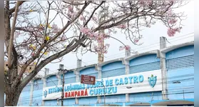 O Paysandu avança na recuperação judicial e antecipa 13º salário.
