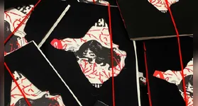 Visagens no meio do mundo: a obra artesanal que transforma o medo ancestral em literatura potente.