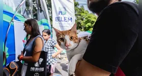 Conheça o programa de atendimento veterinário gratuito em Icoaraci e como acessar serviços essenciais para seus pets a partir do dia 22.