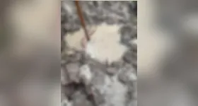 Corpo ainda não foi identificado até o momento