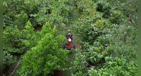 O Crédito de Carbono gerado pela comunidade garante conservação florestal, geração de renda e fortalecimento produtivo.