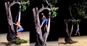 Ato de vandalismo na Praia da Aldeia provocou danos à tradicional árvore de Cametá e gerou revolta entre moradores nas redes sociais.