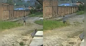 Menino cai em bueiro sem tampa em Ananindeua. Moradores pedem manutenção e alertam sobre segurança nas ruas.