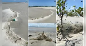 Pesquisa da UFPA revela que resíduos de pesca em Algodoal impactam ecossistemas marinhos com 1.543 organismos registrados.