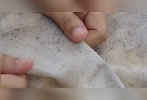 Umidade e falta de ventilação favorecem o aparecimento de bolor em roupas guardadas por longos períodos.