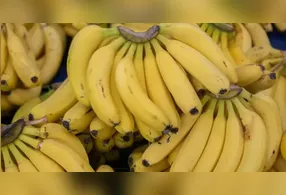 O principal responsável pelo amadurecimento rápido é o gás etileno,