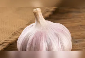 Alho pode amenizar odores, mas não faz limpeza