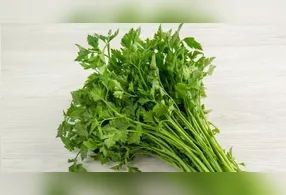 Aprenda a usar esse truque do jeito certo na hora de armazenar o cheiro verde