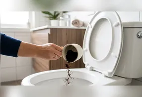 Com gestos simples, é possível transformar um resíduo descartado em um recurso útil, promovendo um lar mais saudável.