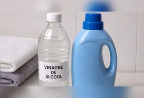 Além dos alimentos, o vinagre também é útil em roupas