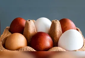 A cor da casca dos ovos é definida pela genética da galinha e não altera o valor nutricional do alimento.
