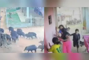 Internautas reagiram com bom-humor ao registro e chamaram atenção para o perigo da situação.