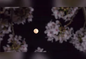 O nome “Lua das Flores” é utilizado porque a lua cheia de maio ocorre durante a primavera no Hemisfério Norte, período associado ao desabrochar das flores