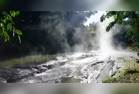 As altas temperaturas representam riscos severos para seres humanos e animais.