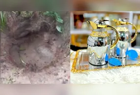 Nas imagens que viralizaram, os homens avistam o objeto próximo ao pé de uma castanheira e chegam a afirmar que com o achado, o local pode ser ainda mais valorizado.
