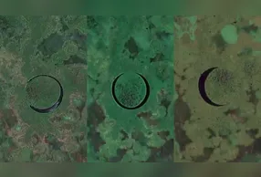 Descubra o fenômeno natural El Ojo, uma ilha que gira sozinha no delta do Paraná e o mistério que a envolve.