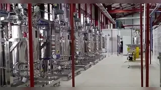 Imagem ilustrativa do vídeo: Bioeconomia fortalece negócios e mantém floresta viva