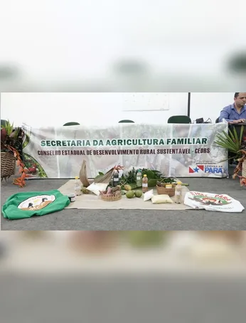Secretaria de Estado da Agricultura Familiar abre vagas de emprego no Pará; veja salário e como se inscrever!