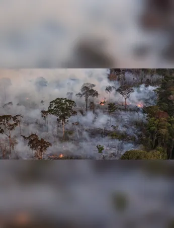 El Niño eleva risco de incêndios florestais no Pará, segundo o meteorologista José Raimundo de Abreu.