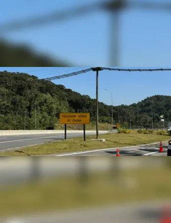 Uma  das travessia de fauna na Avenida Liberdade: estruturas criada para garantir o deslocamento seguro de animais silvestres entre áreas de vegetação.