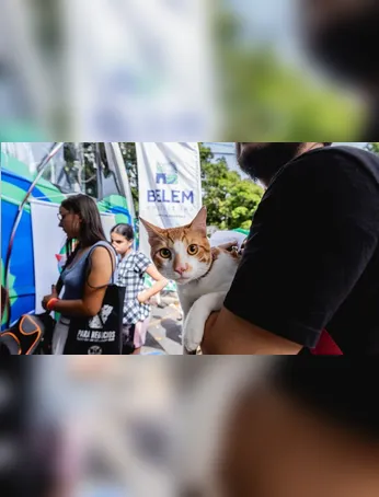Conheça o programa de atendimento veterinário gratuito em Icoaraci e como acessar serviços essenciais para seus pets a partir do dia 22.