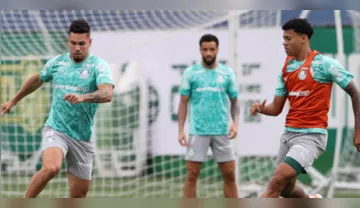 Imagem ilustrativa da imagem VÍDEO: Leila Pereira divulga bastidores da viagem do Palmeiras a Belém