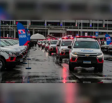 Imagem ilustrativa da imagem Pará tem mais de 30% de redução taxa de homicídios entre 2019 e 2024