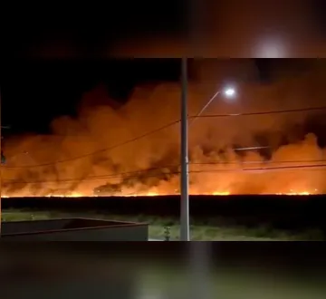 Imagem ilustrativa da imagem Incêndio de grandes proporções atinge vegetação no RS