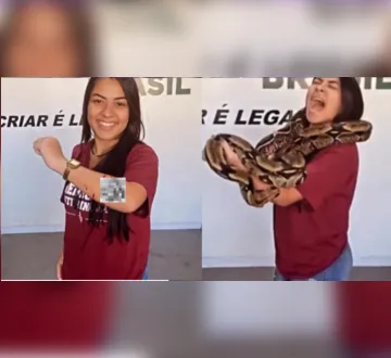 Imagem ilustrativa da imagem Jiboia morde estudante e vídeo viraliza nas redes