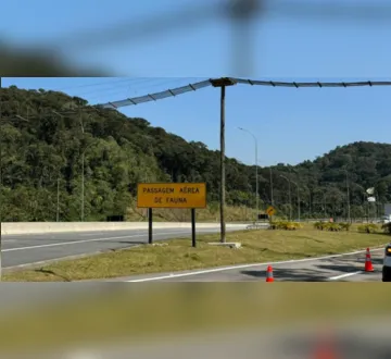 Imagem ilustrativa da imagem Vândalos abriram cerca e capivaras acessaram pista da Avenida Liberdade&nbsp;