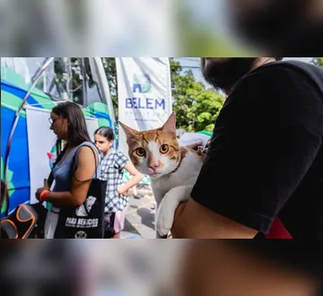 Imagem ilustrativa da imagem Icoaraci terá atendimento veterinário gratuito; veja como acessar
