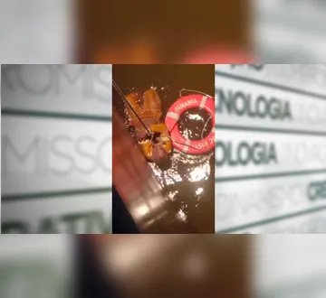 Imagem ilustrativa da imagem "Pé na cova" cai no rio e é resgatado com vida em Barcarena