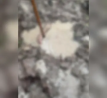 Imagem ilustrativa da imagem Corpo é encontrado no bairro do Coqueiro em Ananindeua