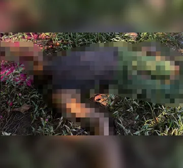 Imagem ilustrativa da imagem Vigilante é encontrado decapitado em Igarapé-Miri