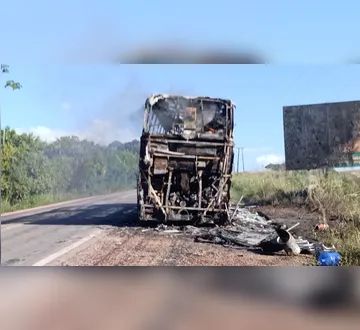 Imagem ilustrativa da imagem Incêndio destrói ônibus da empresa na BR-010. Veja o vídeo