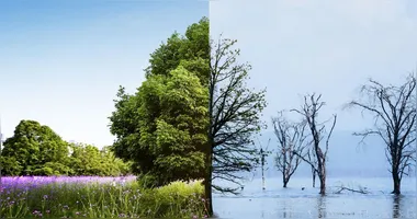 Maioria dos entrevistados afirmou sentir efeitos das mudanças climáticas no cotidiano.
