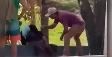 Imagem ilustrativa da imagem Empresário é acusado de agredir mulher em situação de rua em Goiás