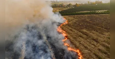 Imagem ilustrativa da imagem Pará entra em vigilância nacional por fumaça de incêndios