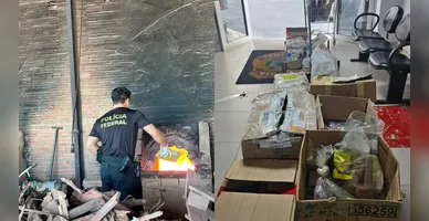 Imagem ilustrativa da imagem PF incinera 630 kg de drogas apreendidas em operações no Pará