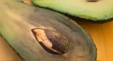 A casca do abacate pode ganhar diversas utilidades após o consumo da fruta.