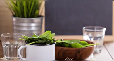 Plantas aromáticas são cada vez mais em cozinhas