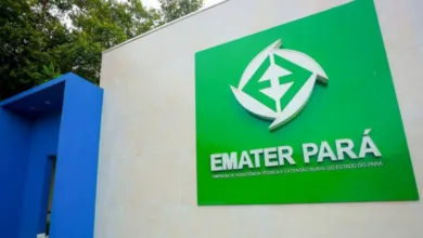 Inscrições para os processos seletivos da EMATER-PA começam nesta segunda-feira (8) e seguem até terça (9).