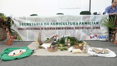 Secretaria de Estado da Agricultura Familiar abre vagas de emprego no Pará; veja salário e como se inscrever!