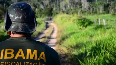 O Ibama está entre as muitas oportunidades na área ambiental
