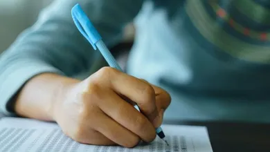 São muitas oportunidades no serviço público e em diversas áreas