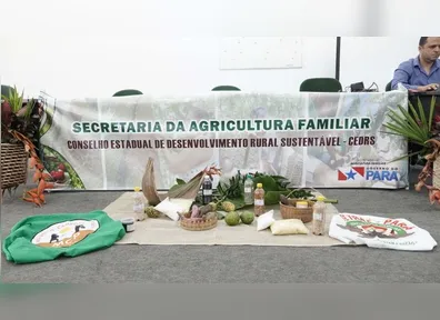 Secretaria de Estado da Agricultura Familiar abre vagas de emprego no Pará; veja salário e como se inscrever!