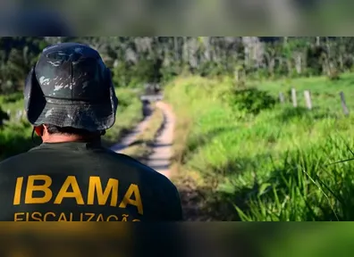 O Ibama está entre as muitas oportunidades na área ambiental