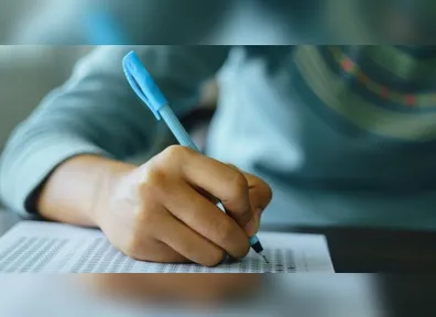 São muitas oportunidades no serviço público e em diversas áreas